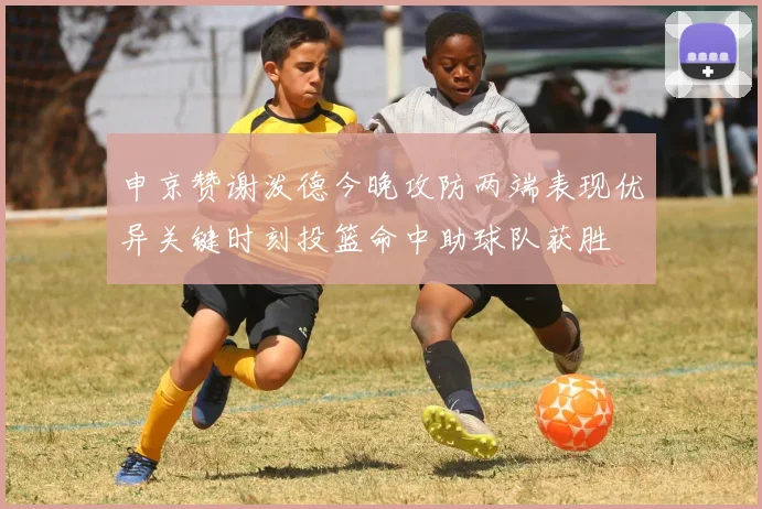 申京赞谢泼德今晚攻防两端表现优异关键时刻投篮命中助球队获胜